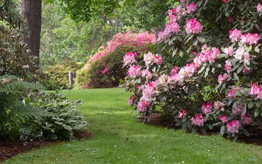 Création de jardin 